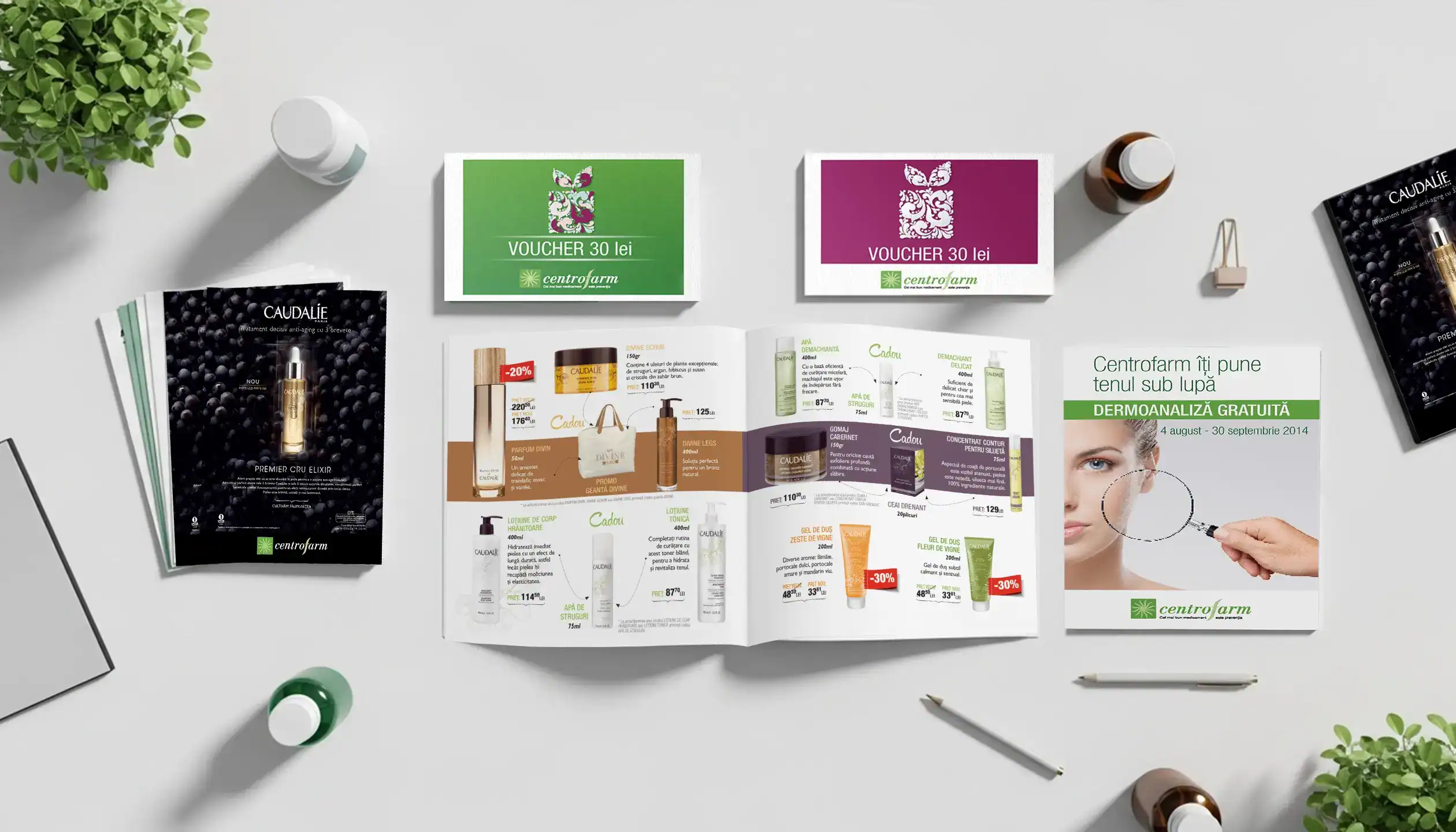 Praxisbeispiele zeigen erfolgreiche B2B-Verkaufsunterlagen aus verschiedenen Branchen: Centrofarm Pharma-Kampagnen, Policolor Industrial Branding, Harper's Bazaar Premium MediaKits